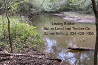 Undeveloped Land for sale in Crenshaw County, Alabama