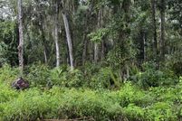 Property for sale in Putnam County, Florida