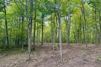 Undeveloped Land for sale in Cass County, Minnesota