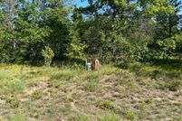 Undeveloped Land for sale in Crawford County, Michigan
