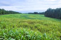 Property for sale in Buckingham County, Virginia