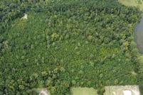 Undeveloped Land for sale in Horry County, South Carolina
