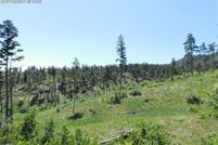 Property for sale in Douglas County, Colorado