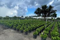 Property for sale in Miami-Dade County, Florida