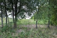Undeveloped Land for sale in Grayson County, Texas
