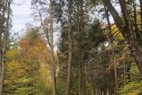 Property for sale in Sullivan County, New York