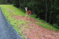 Property for sale in Polk County, North Carolina