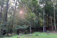 Property for sale in Alleghany County, North Carolina