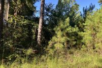 Property for sale in Orangeburg County, South Carolina