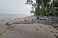 Undeveloped Land for sale in Baraga County, Michigan