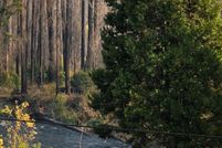 Property for sale in Lane County, Oregon