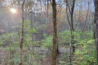 Undeveloped Land for sale in Bracken County, Kentucky