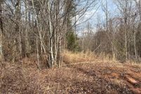 Undeveloped Land for sale in Cocke County, Tennessee