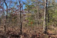 Undeveloped Land for sale in Sevier County, Tennessee