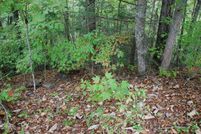 Property for sale in Sevier County, Tennessee