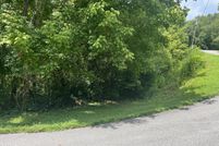 Property for sale in Sevier County, Tennessee