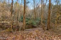 Property for sale in Sevier County, Tennessee