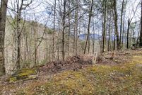 Undeveloped Land for sale in Sevier County, Tennessee