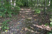Undeveloped Land for sale in Cocke County, Tennessee