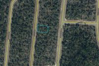 Undeveloped Land for sale in Washington County, Florida