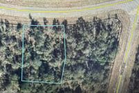 Undeveloped Land for sale in Washington County, Florida