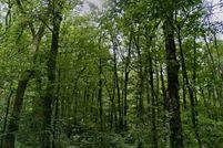 Undeveloped Land for sale in Bristol County, Massachusetts