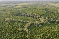 Undeveloped Land for sale in Greene County, Mississippi