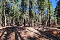 Undeveloped Land for sale in Shasta County, California