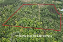 Undeveloped Land for sale in Kalkaska County, Michigan