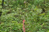 Property for sale in Cass County, Minnesota