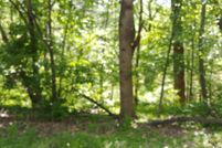 Property for sale in Roanoke County, Virginia