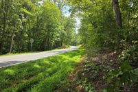 Undeveloped Land for sale in Charlotte County, Virginia