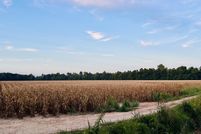 Farm Property for sale in Clay County, Arkansas