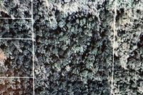 Property for sale in Saint Tammany Parish, Louisiana