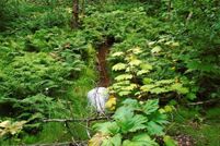 Undeveloped Land for sale in Anchorage Borough, Alaska