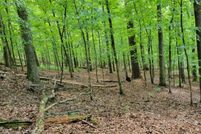 Property for sale in Clay County, Georgia