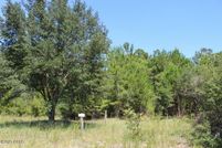 Undeveloped Land for sale in Jackson County, Florida