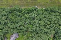 Property for sale in McIntosh County, Georgia