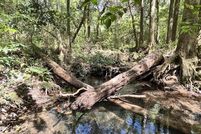 Property for sale in Dale County, Alabama