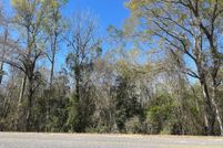Undeveloped Land for sale in Pike County, Alabama