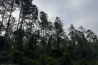 Farm Property for sale in Flagler County, Florida