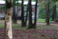 Property for sale in Madison County, Arkansas