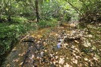 Undeveloped Land for sale in Nelson County, Virginia