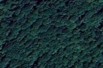 Property for sale in Bradley County, Tennessee