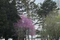 Property for sale in Rhea County, Tennessee