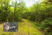 Property for sale in Grayson County, Texas