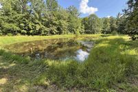 Undeveloped Land for sale in Shelby County, Alabama
