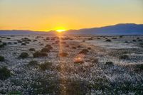 Undeveloped Land for sale in Humboldt County, Nevada