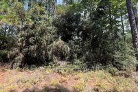 Undeveloped Land for sale in Jasper County, Texas