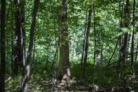 Undeveloped Land for sale in Waushara County, Wisconsin